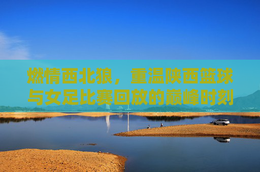 燃情西北狼,重温陕西篮球与女足比赛回放的巅峰时刻