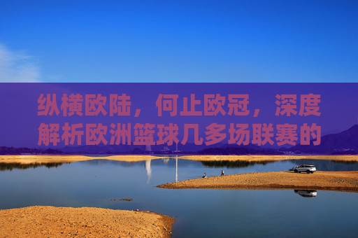纵横欧陆,何止欧冠,深度解析欧洲篮球几多场联赛的繁复与精彩