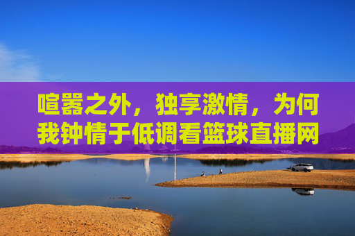 喧嚣之外,独享激情,为何我钟情于低调看篮球直播网站