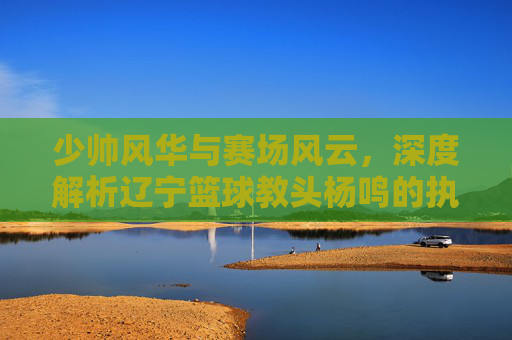 少帅风华与赛场风云,深度解析辽宁篮球教头杨鸣的执教哲学与人生起伏