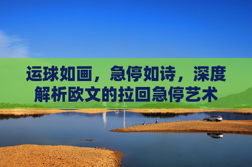 运球如画,急停如诗,深度解析欧文的拉回急停艺术