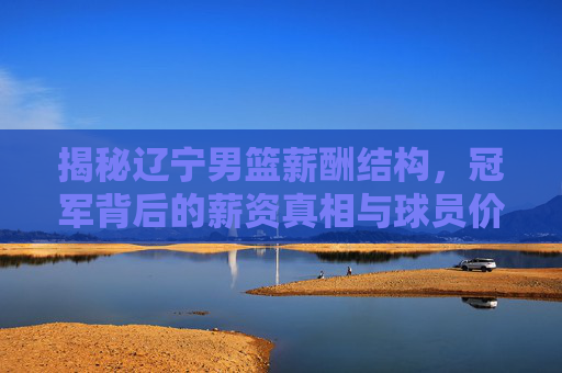 揭秘辽宁男篮薪酬结构，冠军背后的薪资真相与球员价值