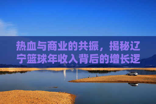 热血与商业的共振，揭秘辽宁篮球年收入背后的增长逻辑