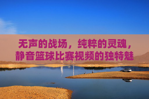 无声的战场,纯粹的灵魂,静音篮球比赛视频的独特魅力