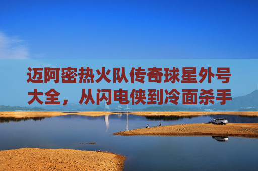 迈阿密热火队传奇球星外号大全,从闪电侠到冷面杀手
