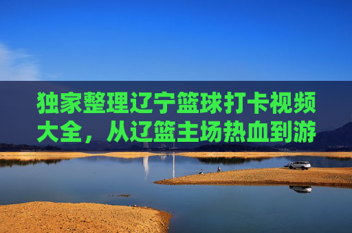 独家整理辽宁篮球打卡视频大全,从辽篮主场热血到游戏世界的篮球梦