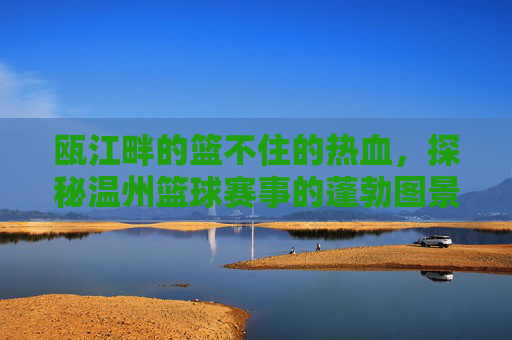 瓯江畔的篮不住的热血,探秘温州篮球赛事的蓬勃图景
