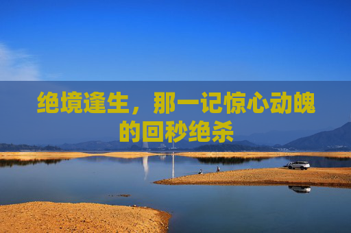 绝境逢生,那一记惊心动魄的回秒绝杀