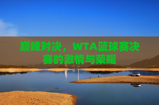 巅峰对决，WTA篮球赛决赛的激情与荣耀