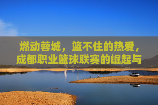燃动蓉城,篮不住的热爱,成都职业篮球联赛的崛起与展望