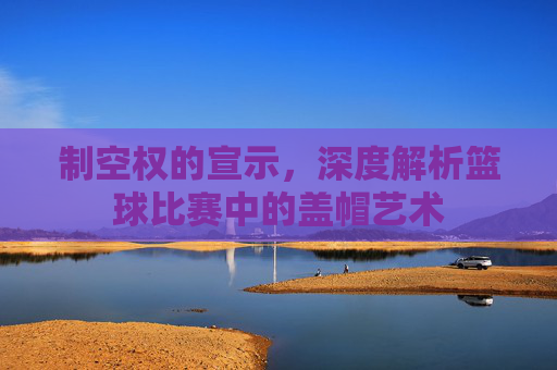 制空权的宣示,深度解析篮球比赛中的盖帽艺术