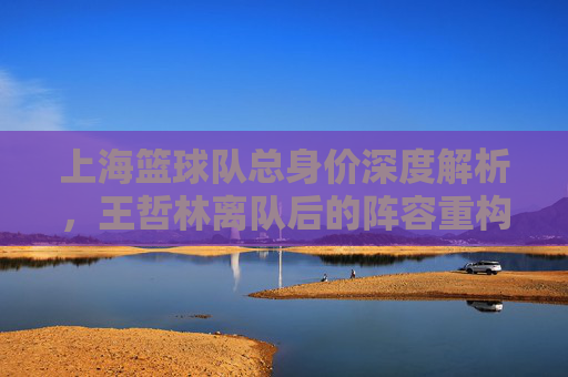 上海篮球队总身价深度解析，王哲林离队后的阵容重构与市场价值重塑