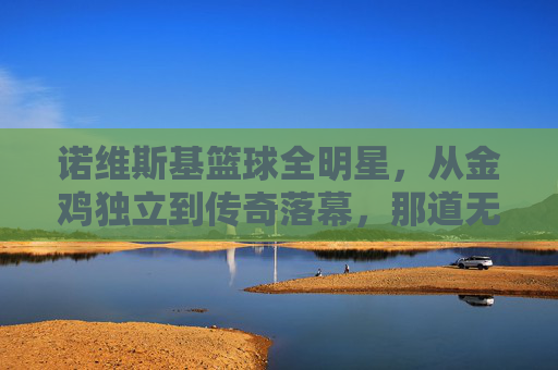 诺维斯基篮球全明星，从金鸡独立到传奇落幕，那道无法复制的金色弧线