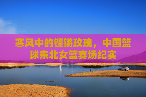 寒风中的铿锵玫瑰,中国篮球东北女篮赛场纪实