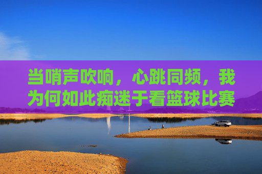 当哨声吹响,心跳同频,我为何如此痴迷于看篮球比赛