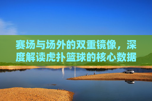 赛场与场外的双重镜像,深度解读虎扑篮球的核心数据