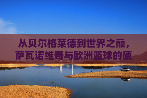 从贝尔格莱德到世界之巅,萨瓦诺维奇与欧洲篮球的硬朗力量