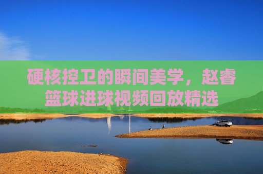硬核控卫的瞬间美学,赵睿篮球进球视频回放精选