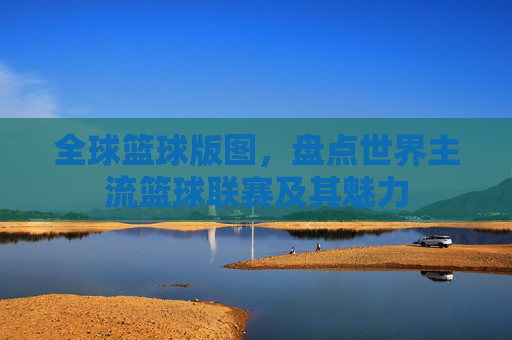 全球篮球版图,盘点世界主流篮球联赛及其魅力