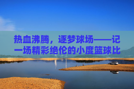 热血沸腾，逐梦球场——记一场精彩绝伦的小度篮球比赛