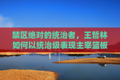 禁区绝对的统治者，王哲林如何以统治级表现主宰篮板球