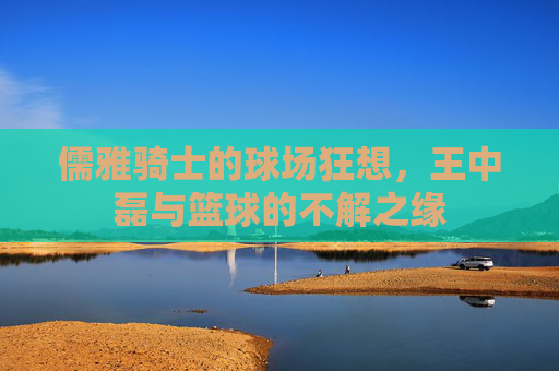 儒雅骑士的球场狂想,王中磊与篮球的不解之缘