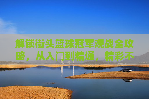 解锁街头篮球冠军观战全攻略,从入门到精通,精彩不容错过