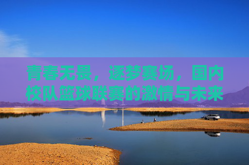 青春无畏，逐梦赛场，国内校队篮球联赛的激情与未来