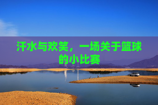 汗水与欢笑，一场关于篮球的小比赛