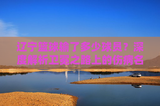 辽宁篮球输了多少球员?深度解析卫冕之路上的伤病名单与阵容变动
