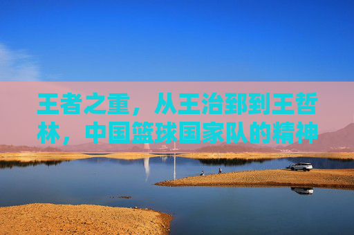 王者之重,从王治郅到王哲林,中国篮球国家队的精神图腾与代际守望
