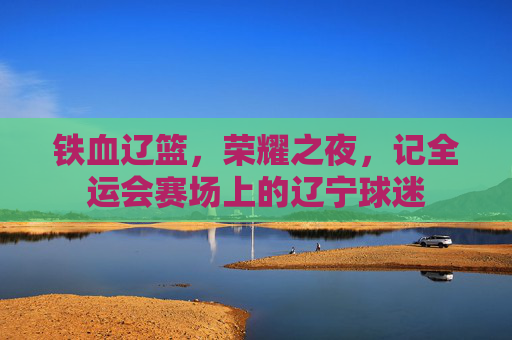 铁血辽篮,荣耀之夜,记全运会赛场上的辽宁球迷
