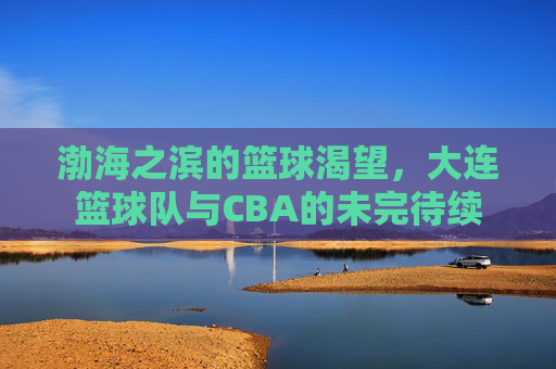 渤海之滨的篮球渴望,大连篮球队与CBA的未完待续
