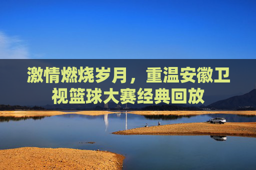 激情燃烧岁月,重温安徽卫视篮球大赛经典回放