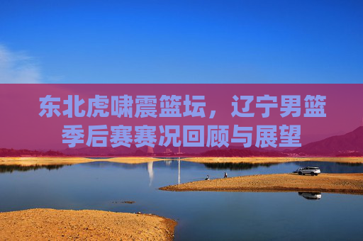 东北虎啸震篮坛,辽宁男篮季后赛赛况回顾与展望