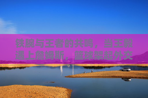 铁腕与王者的共鸣,当王毅遇上詹姆斯,篮球架起外交与梦想的桥梁