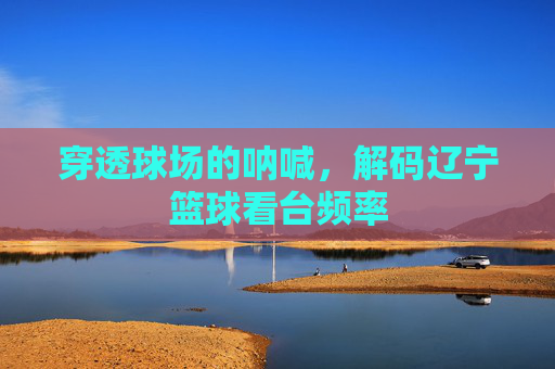 穿透球场的呐喊，解码辽宁篮球看台频率