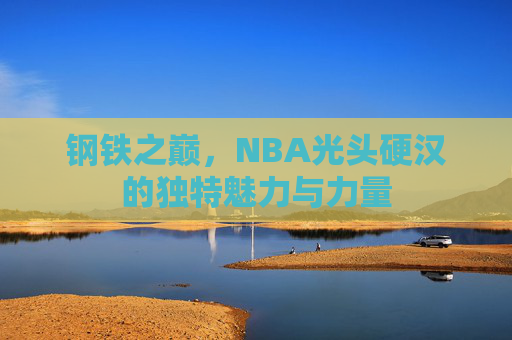 钢铁之巅,NBA光头硬汉的独特魅力与力量