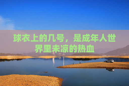 球衣上的几号，是成年人世界里未凉的热血