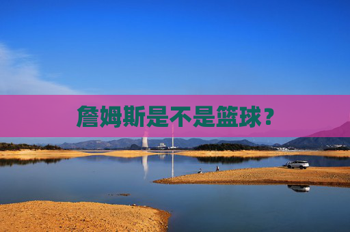 詹姆斯是不是篮球？