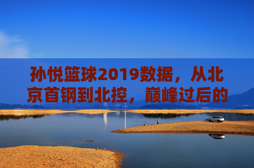 孙悦篮球2019数据,从北京首钢到北控,巅峰过后的数据反思