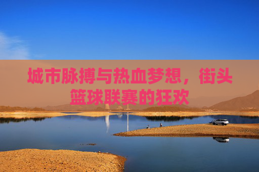 城市脉搏与热血梦想,街头篮球联赛的狂欢