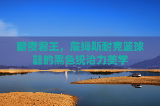 暗夜君王,詹姆斯耐克篮球鞋的黑色统治力美学