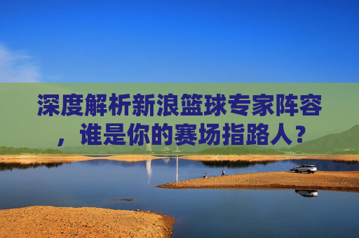 深度解析新浪篮球专家阵容,谁是你的赛场指路人?