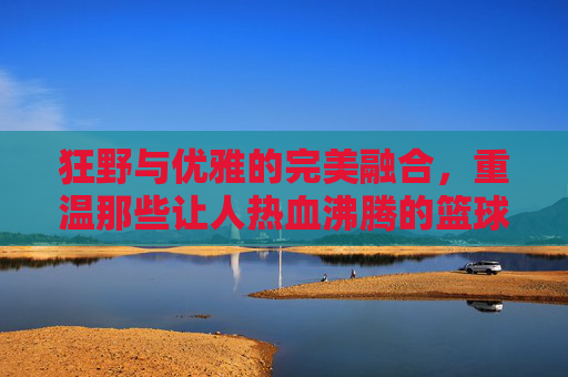 狂野与优雅的完美融合,重温那些让人热血沸腾的篮球单挑马刺视频