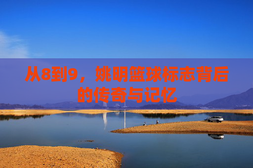 从8到9,姚明篮球标志背后的传奇与记忆