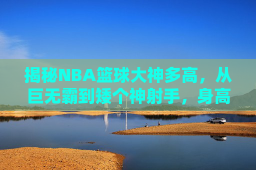 揭秘NBA篮球大神多高,从巨无霸到矮个神射手,身高决定上限吗?