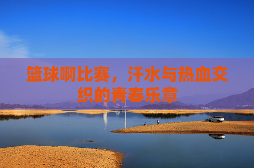 篮球啊比赛,汗水与热血交织的青春乐章
