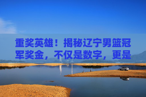 重奖英雄！揭秘辽宁男篮冠军奖金，不仅是数字，更是对东北篮球的深情厚谊