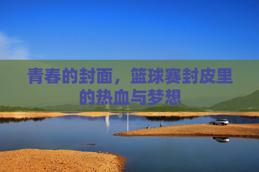 青春的封面,篮球赛封皮里的热血与梦想